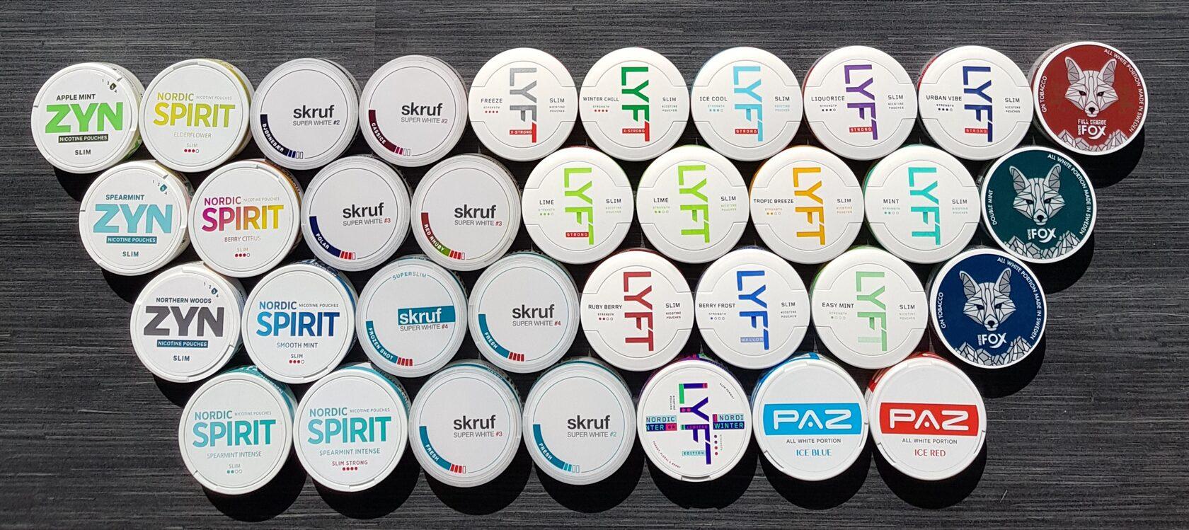 10 Best Nicotine Pouches for Beginners (2026)